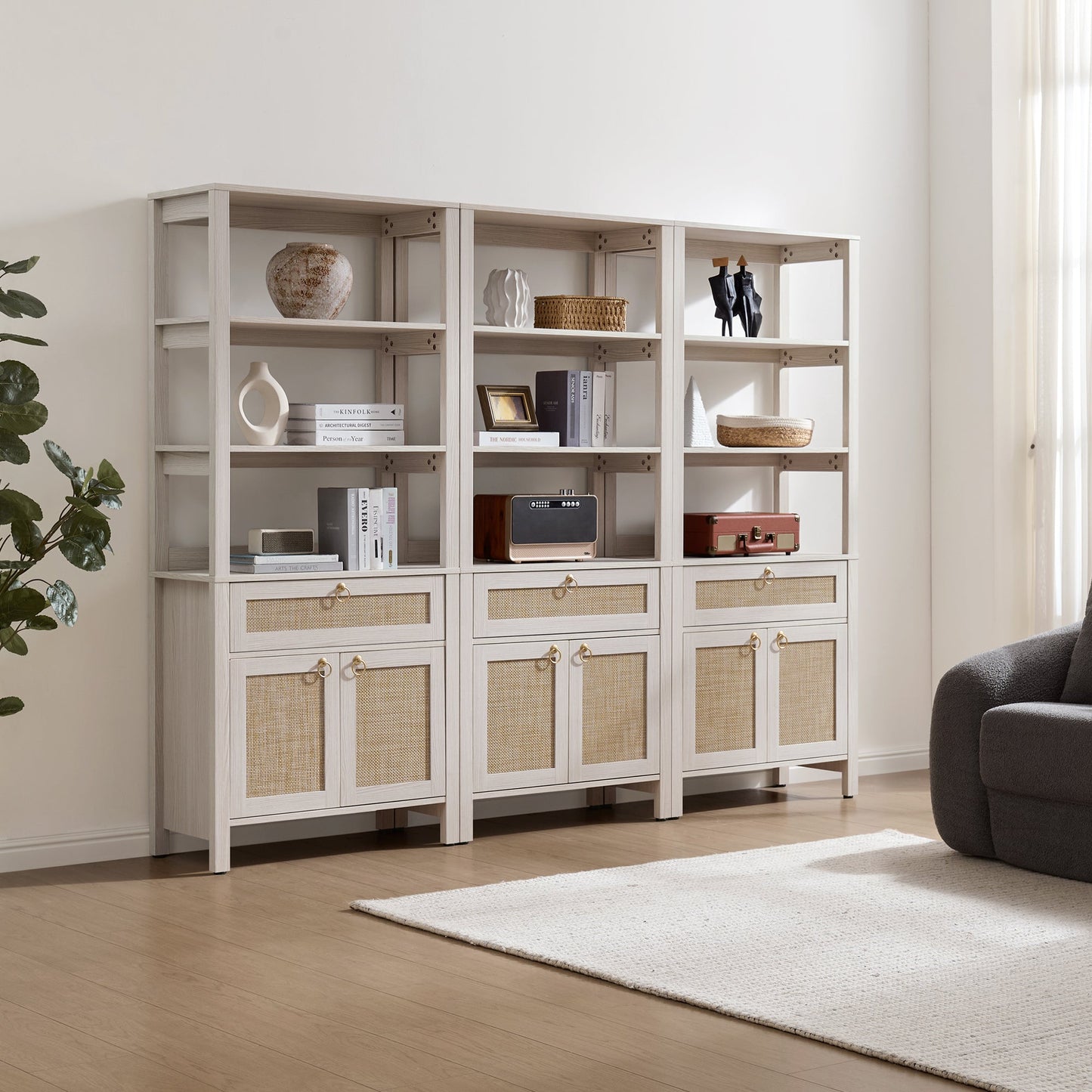 Terra Bookshelf With 2 Doors