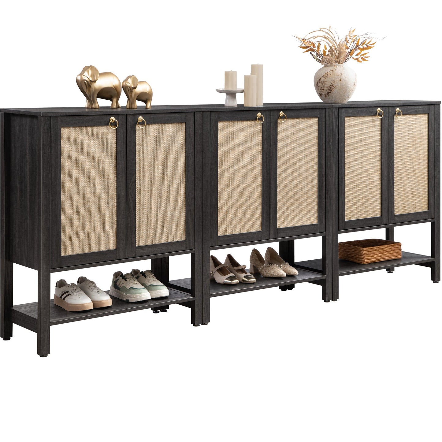 Terra Black Shoe Cabinet, 2 Doors