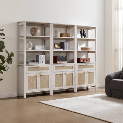 Terra Bookshelf With 2 Doors