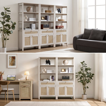 Terra Bookshelf With 2 Doors