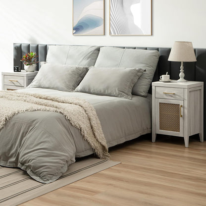 Andy Nightstand with Golden Mesh Door