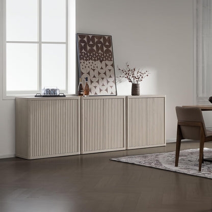 Cas TV Console with 2 Doors