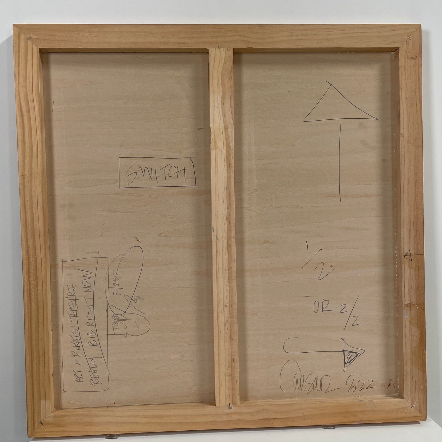 Allison Caesar, Peinture : Switch