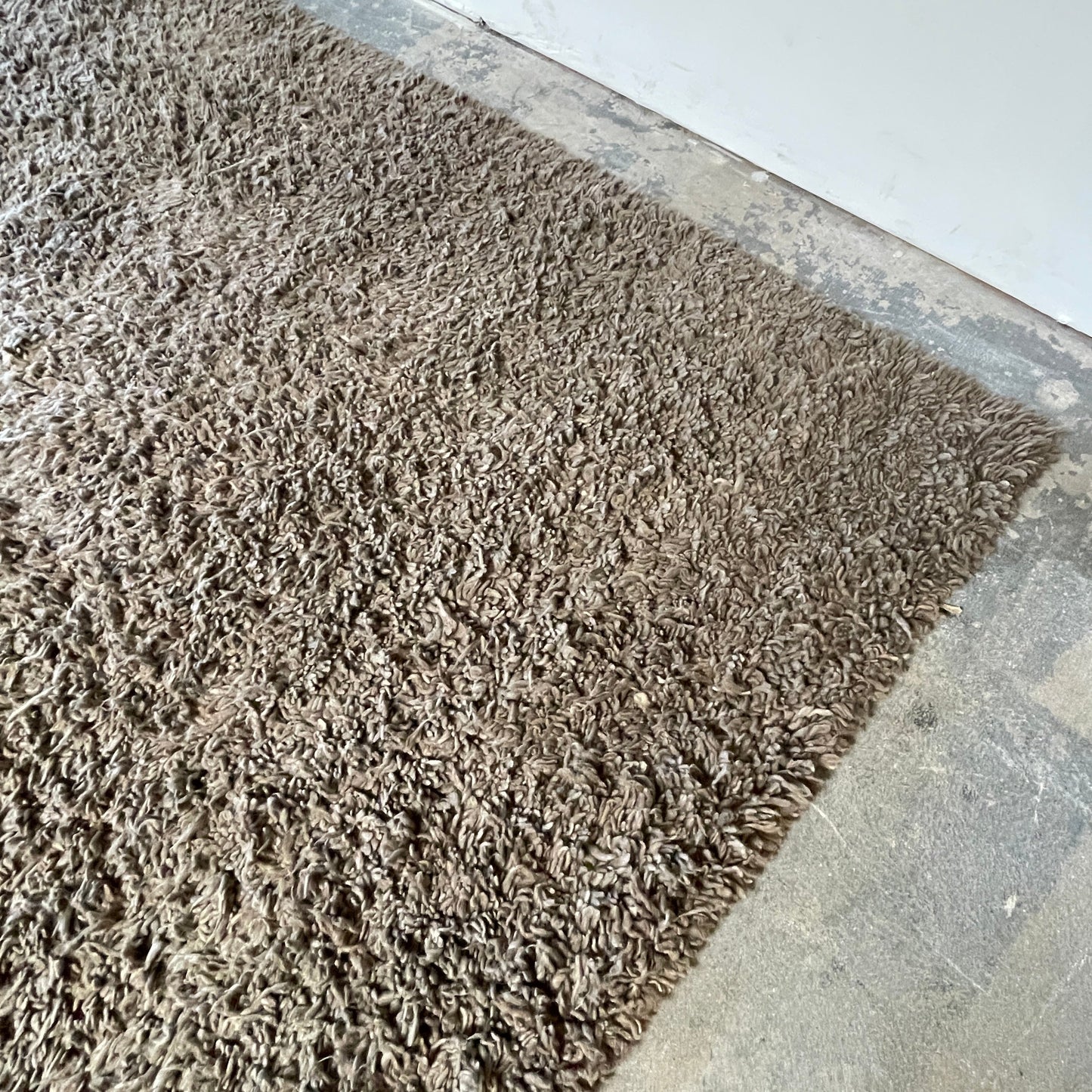 Tapis à poils longs Delinear Anemone gris chaud 8'X10'