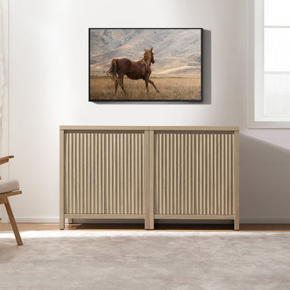 Prelude 2-Door TV Stand